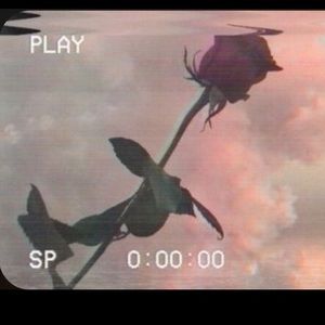 Meet your Posher, Wynnie